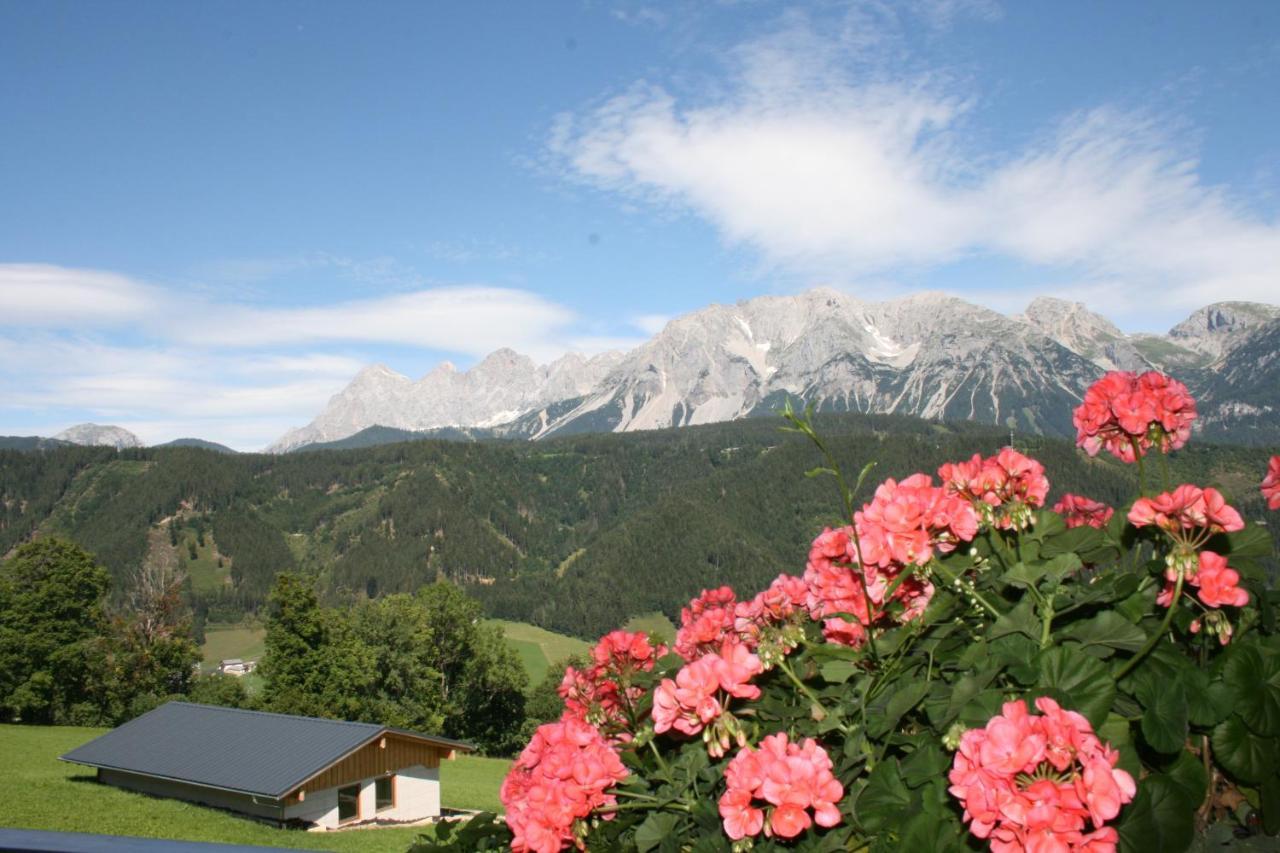 Haus Bergliebe Apartment ชลัดมิง ภายนอก รูปภาพ